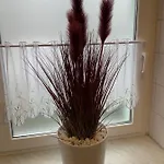 Best-preis Rathausblick 2 - Zentrale Lage In - 2 Personen - Einzelzimmer - Vollausstattung - Wlan / Prime & Self-check-in アパート