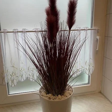 Best-preis Rathausblick 2 - Zentrale Lage In - 2 Personen - Einzelzimmer - Vollausstattung - Wlan / Prime & Self-check-in 아파트