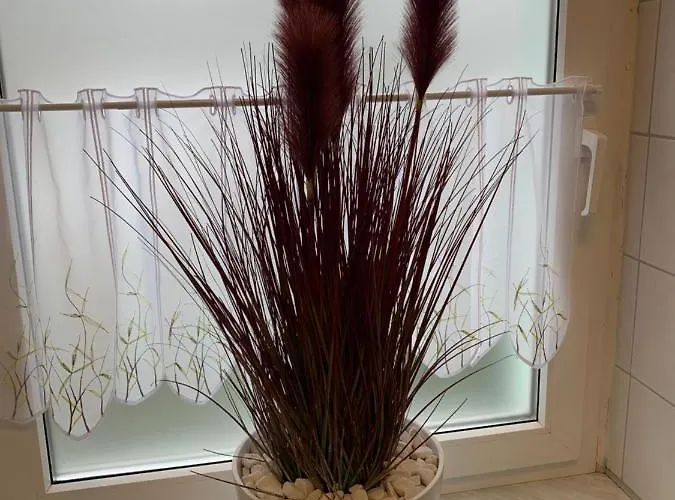 Best-preis Rathausblick 2 - Zentrale Lage In - 2 Personen - Einzelzimmer - Vollausstattung - Wlan / Prime & Self-check-in Appartement